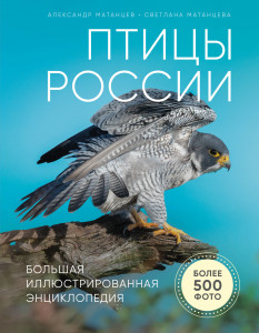Птицы России: большая иллюстрированная энциклопедия