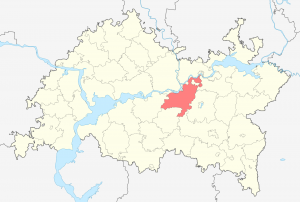 Нижнекамский район на карте Татарстана (отмечен красным)