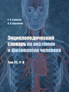 Энциклопедический словарь по анатомии и физиологии человека. В 3 томах. Том 3. Р — Я
