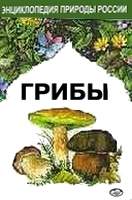 Грибы