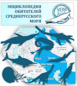 В Ульяновской области запустили интернет-энциклопедию фауны геологического прошлого региона