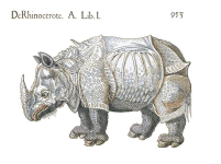 Изображение носорога в «Historia animalium» («История животных»)
