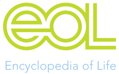 Логотип «Энциклопедии жизни» (Encyclopedia of Life, EOL)