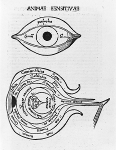 Анатомическое строение глаза. «Философская жемчужина» (Margarita philosophica) Грегора Рейша (Gregor Reisch). 1503