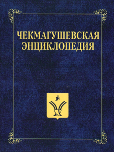 Лицевая сторона переплёта «Чекмагушевской энциклопедии» (2020)
