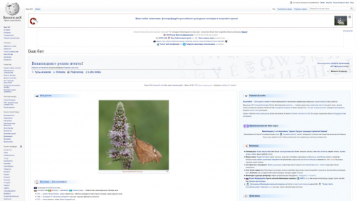 Главная страница татарской Википедии (23 сентября 2022 года)