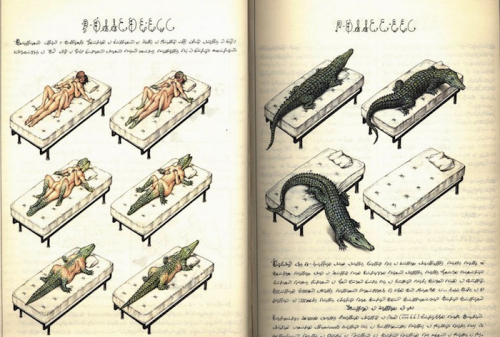 Страница «Codex Seraphinianus» Луиджи Серафини (Luigi Serafini)