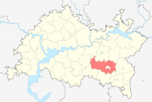 Альметьевский район на карте Татарстана (отмечен цветом)