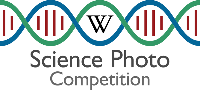 Science Photo Competition
