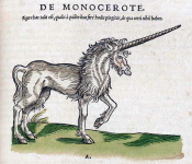 Изображение единорога в «Historia animalium» («История животных»)