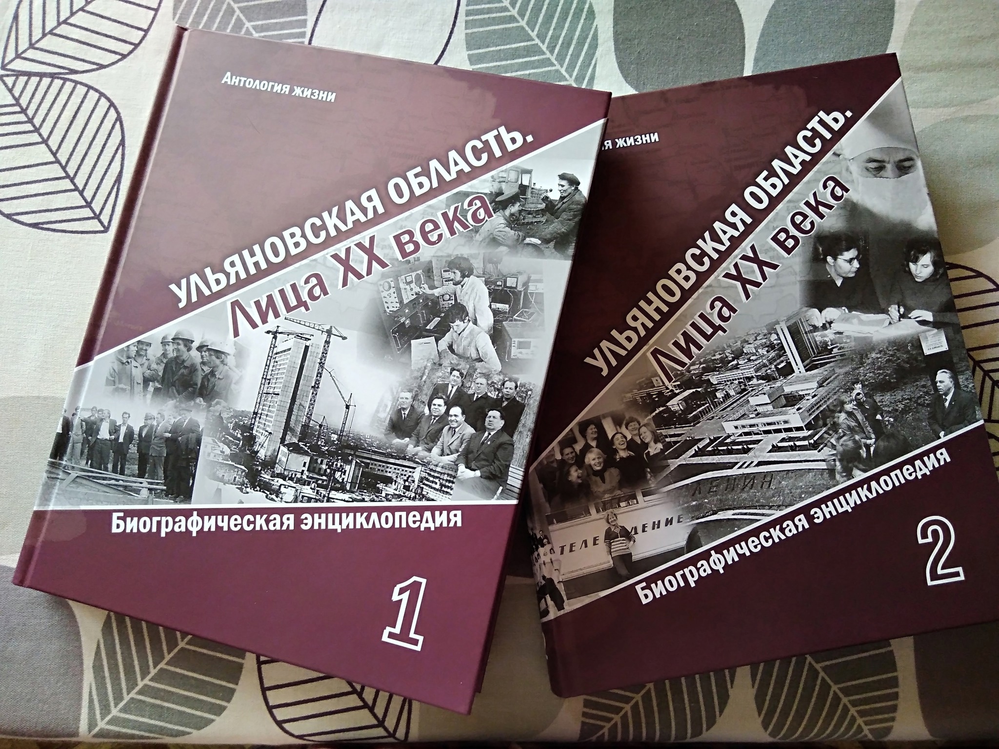 Биографическая энциклопедия «Ульяновская область. Лица ХХ века» (2024—2025)