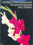 Иллюстрированная энциклопедия растений