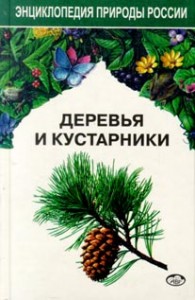 Декоративные растения. Т. 1. Деревья и кустарники