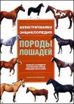 Породы лошадей. Иллюстрированная энциклопедия