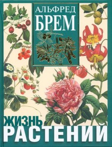 Жизнь растений: декоративные, оранжерейные, экзотические, комнатные, дикорастущие, лекарственные растения нашей планеты: новейшая ботаническая энциклопедия: личная библиотека А. Брема