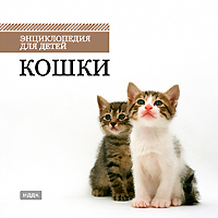 Кошки