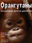 Орангутаны. Загадочные жители джунглей