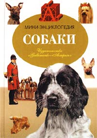 Собаки