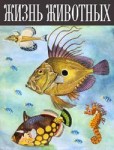 Жизнь животных. Энциклопедия. В 6 томах (7 книгах). Том 4. Часть 1. Рыбы