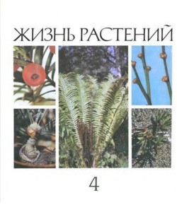 Жизнь растений. Энциклопедия. В 6 томах (7 книгах). Том 4. Мхи. Плауны. Хвощи. Папоротники. Голосеменные растения