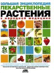 Большая энциклопедия. Лекарственные растения в народной медицине