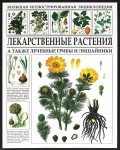 Лекарственные растения, а также лечебные грибы и лишайники. Большая иллюстрированная энциклопедия