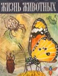 Жизнь животных. Энциклопедия. В 6 томах (7 книгах). Том 3. Беспозвоночные. Сухопутные членистоногие