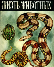 Жизнь животных. Энциклопедия. В 6 томах (7 книгах). Том 4. Часть 2. Земноводные, пресмыкающиеся