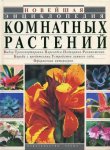 Новейшая энциклопедия комнатных растений