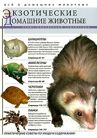 Экзотические домашние животные