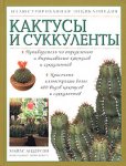 Кактусы и суккуленты. Иллюстрированная энциклопедия