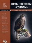 Орлы. Ястребы. Соколы. Мини-энциклопедия