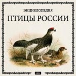 Птицы России. Энциклопедия