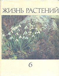 Жизнь растений. Энциклопедия. В 6 томах (7 книгах). Том 6. Цветковые, или покрытосеменные растения