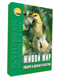 Большой энциклопедический словарь Сибири и Дальнего Востока. В 4 томах. Том 3. Живой мир