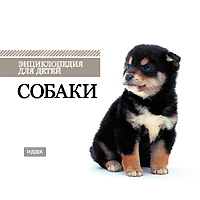 Собаки