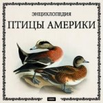 Птицы Америки. Энциклопедия