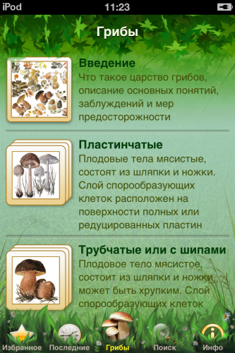 Скриншот приложения «Грибы: Большая энциклопедия»