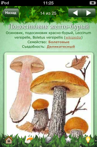 Скриншот приложения «Грибы: Большая энциклопедия»