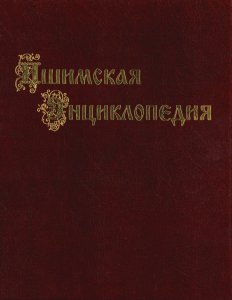 Лицевая сторона переплёта «Имишской энциклопедии» (2010)