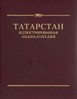 Лицевая сторона переплёта иллюстрированной энциклопедии «Татарстан» (2013)